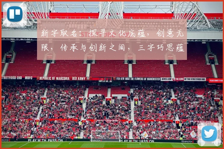 新字取名：探寻文化底蕴，创意无限，传承与创新之间，三字巧思蕴智慧，彰显个性魅力。