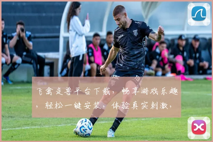 飞禽走兽平台下载，畅享游戏乐趣，轻松一键安装，体验真实刺激，快来加入我们