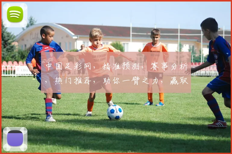中国足彩网，精准预测，赛事分析，热门推荐，助你一臂之力，赢取大奖